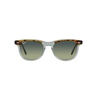 Ray-Ban RB2398 1376BH-53 Eagleeye Havana On Transparent Green / Green Lenses