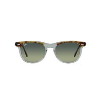 Ray-Ban RB2398 1376BH-56 Eagleeye Havana On Transparent Green / Green Lenses