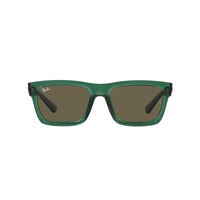 Ray-Ban RB4396 6681/3-54 Warren Transparent Green / Brown Lenses