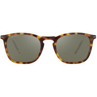 Serengeti Delio Large SS818002 Classic Tortoise / 555nm Polarised Photochromic Lenses