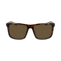 Dragon Meridien DR42003 240-57 Shiny Tortoise / Brown Polarised Luma Lenses