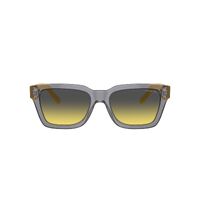 Arnette Cold Heart 2.0 AN4334 12432Q-53 Transparent Grey / Yellow w Dark Grey Lenses