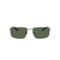 Arnette AN3095 776/71-58 Matte Bronze / Dark Green Lenses