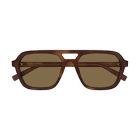 Saint Laurent SL905 003 Havana / Brown Lenses