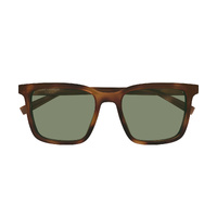 Saint Laurent SL500 009 Havana / Green Lenses