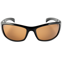 Spotters Artic+ Gloss Black / Penetrator Polarised Photochromic Lenses
