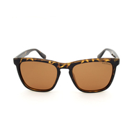 Stiletto Teagon C4 Tortoise Brown / Brown Polarised Lenses