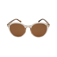 Stiletto Morgan C1 Light Crystal Brown / Brown Polarised Lenses
