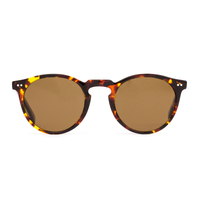 Otis Omar 26-2104P Eco Havana Sun / Brown Polarised Lenses