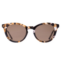 Sito Now Or Never SINON017S Chestnut Tortoise / Coffee Lenses