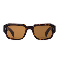 Otis Jam 217-2602 Havana Ray / Brown Lenses