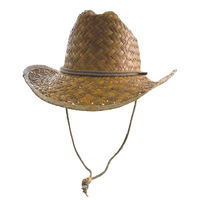 Rocko's Winton Value Range Straw Hat