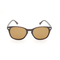 Stiletto Dakota C2 Crystal Dark Brown / Brown Polarised Lenses