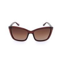 Stiletto Demi C2 Crystal Dark Brown / Brown Gradient Polarised Lenses