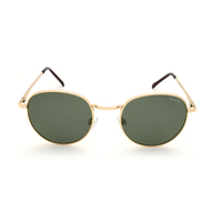 Stiletto Erica C2 Gold / Green Polarised Lenses