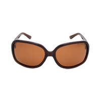 Stiletto Bailey C2 Crystal Dark Brown / Brown Polarised Lenses