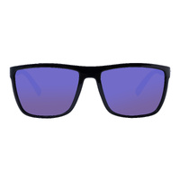 Mangrove Jacks Daylight C2 Shiny Black / Blue Revo Mirror Polarised Lenses