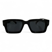 Polar One A25916X C1 Black / Smoke Polarised Lenses