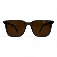 Polar One A25607X C2 Transparent Brown / Brown Polarised Lenses