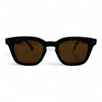 Polar One A25923X C6 Stripe Brown / Brown Polarised Lenses