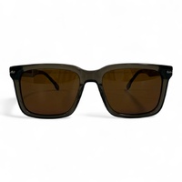 Polar One A25929X C4 Transparent Brown / Brown Polarised Lenses