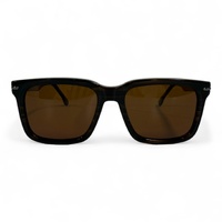 Polar One A25929X C5 Stripe Brown / Brown Polarised Lenses