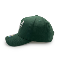 Mitchell & Ness Chicago Bulls Flexfit 110 Core Dark Green OSFM