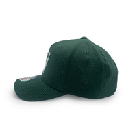 Mitchell & Ness Las Vegas Raiders Flexfit 110 Core Dark Green OSFM