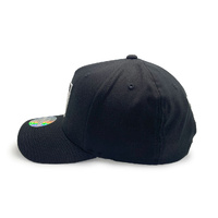 Mitchell & Ness Las Vegas Raiders Pro Pinch Evergreen Black OSFM