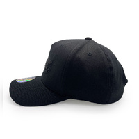 Mitchell & Ness Los Angeles Lakers Flexfit 110 Evergreen Core Black/Black OSFM