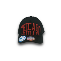 Mitchell & Ness Chicago Bulls 110 Arched Black OSFM