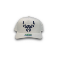 Mitchell & Ness Chicago Bulls Flexfit 110 Seasonal White OSFM
