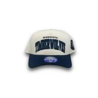 Mitchell & Ness Minnesota Timberwolves Flexfit 110 Team Arch White OSFM