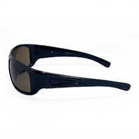 Urban Castaway C14 Black / Brown Lenses