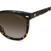 Carrera 3043/S 086 HA 56 Havana / Brown Gradient Lenses