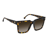 Carrera 3067/S 086 HA 56 Havana / Brown Gradient Lenses