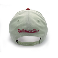 Mitchell & Ness Chicago Bulls Pro Pinch Evergreen White Cream/Red OSFM