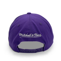 Mitchell & Ness Los Angeles Lakers Pro Pinch Evergreen Purple OSFM
