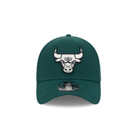 New Era Chicago Bulls 39Thirty Ivory Logo Dark Green M/L