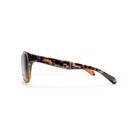 Zeal Windsor 13415 Gloss Havana Sunset / Dark Grey Polarised Lenses