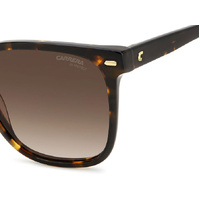 Carrera 3002/S 086 HA 55 Havana / Brown Gradient Lenses
