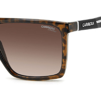 Carrera 4019/S 086 HA 58 Havana / Brown Gradient Lenses