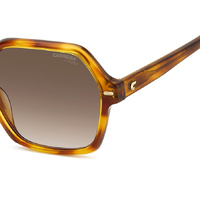 Carrera 3026/S 086 HA 56 Havana / Brown Gradient Lenses