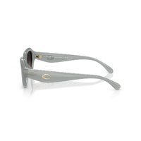 Coach CBY77 HC8433U 5905T3-52 Milky Eucalyptus / Grey Polarised Lenses