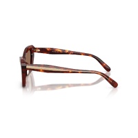 Coach CDP52 HC8452U 593873-54 Walnut Tortoise / Brown Lenses