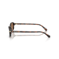 Michael Kors Agra MK2288U 403973-56 Mahogany Tortoise / Brown Lenses