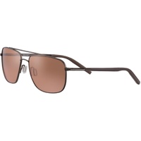 Serengeti Tellaro 8822 Matte Espresso / Drivers Gradient Photochromic Lenses