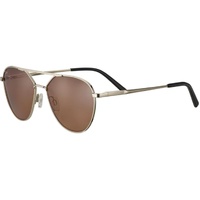 Serengeti Odell SS555001 Shiny Light Gold / Drivers Polarised Photochromic Lenses