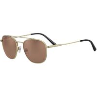 Serengeti Carroll SS542004 Gold / Drivers Polarised Photochromic Lenses