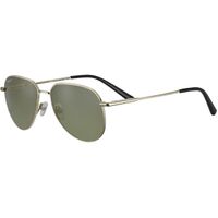 Serengeti Haywood SS543003 Gold / 555nm Polarised Photochromic Lenses